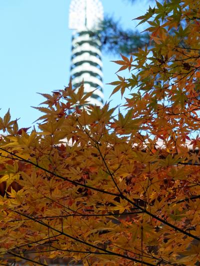 東京 猫スポット に関する旅行記 ブログ フォートラベル 東京 猫スポット に関する旅行記 ブログ フォートラベル