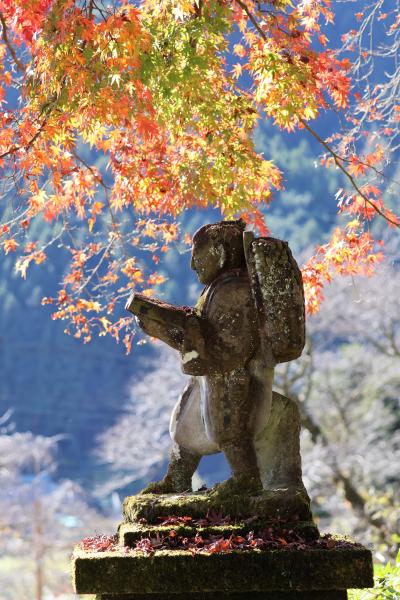 東京の紅葉狩り　in　武蔵五日市あたり