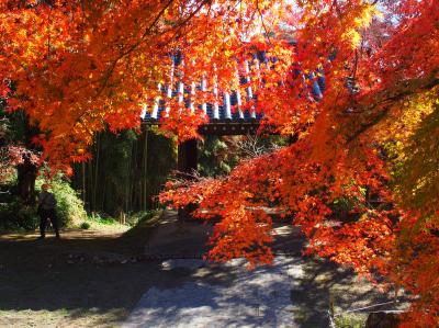 ★兵･京･阪･奈★ 近畿4県5泊6日の旅 ⑤ 奈良編-1. 矢田の里山を歩く