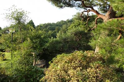 夏の伊豆長岡温泉旅♪　Vol.37 ☆伊豆長岡温泉「三養荘」：朝の美しい日本庭園　優雅な散歩♪