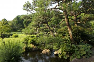 夏の伊豆長岡温泉旅♪　Vol.39 ☆伊豆長岡温泉「三養荘」：朝の美しい日本庭園　優雅な散歩♪