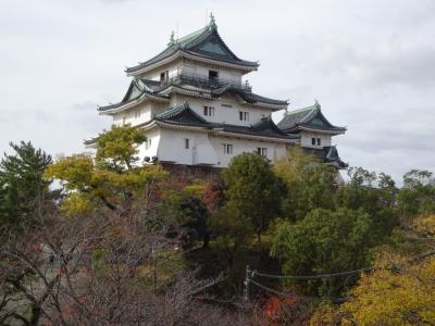 紅葉、山、滝、川、城址古刹 近畿紀行2022　-その1、和歌山城