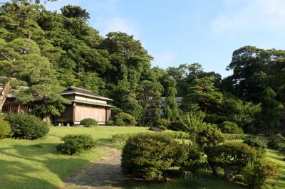 夏の伊豆長岡温泉旅♪　Vol.49 ☆伊豆長岡温泉「三養荘」：朝の美しい日本庭園　優雅な散歩♪