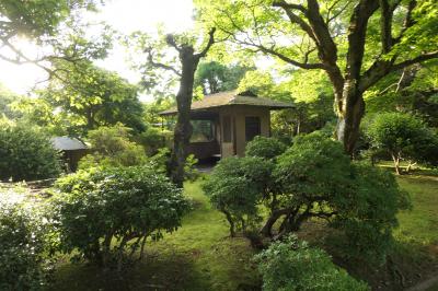 夏の伊豆長岡温泉旅♪　Vol.50 ☆伊豆長岡温泉「三養荘」：朝の美しい日本庭園　優雅な散歩♪