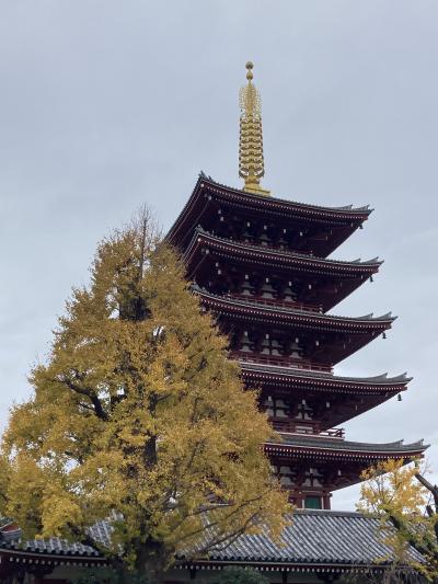 日帰りバスツアーで東京二大タワー＆浅草散策