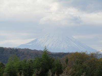 富士山のビュースポットから坂道を下って