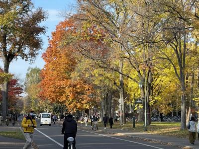 札幌で紅葉を楽しむ(1/3)