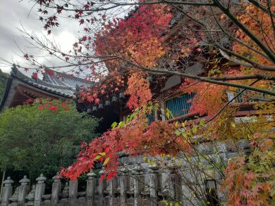 母・弟と行く初冬の壷阪寺～紅葉も残ってて、メガネもくぐりました(*^^)v