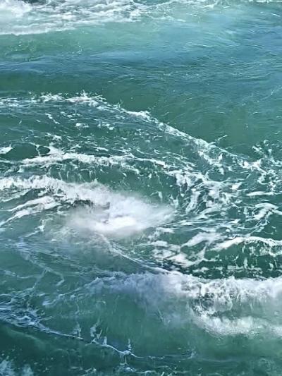 鳴門で、渦潮！うずしお！うず潮？