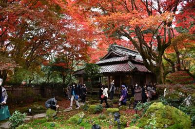 今まで見た紅葉で､最も鮮やかな教林坊様、胡宮神社にもお詣りしました