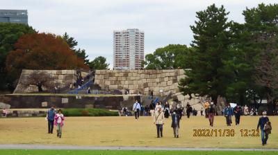 皇居・乾通りを歩きました⑤東御苑の本丸～果樹古品種園～野草の島