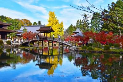 臨済宗南禅寺派の古刹  永保寺の秋彩紅葉