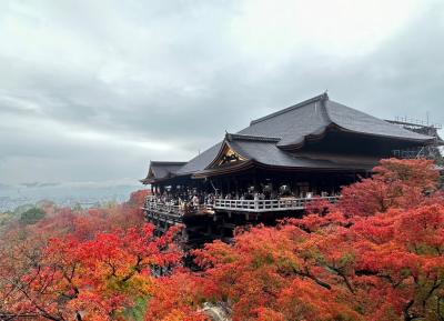 202211 全国旅行支援で行く京都秋の旅～三日目、最終日～