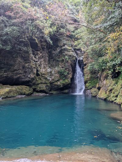 仁淀ブルーと紅葉を求めて、四国まで行ってきました(*^-^*)