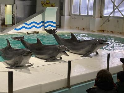 冬のおたる水族館