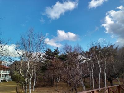 八幡平ハイツでバイキングランチ&amp;日帰り湯