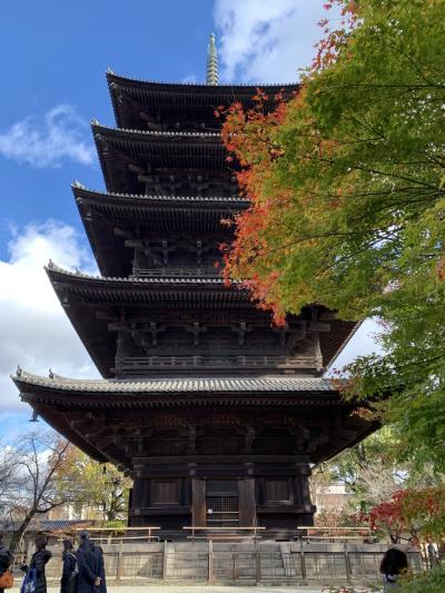 今年の紅葉は二府