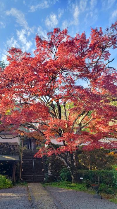 2022年紅葉巡り･亀岡神藏寺(1回目)