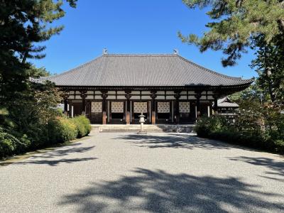 若草色の奈良巡り　　　唐招提寺～薬師寺