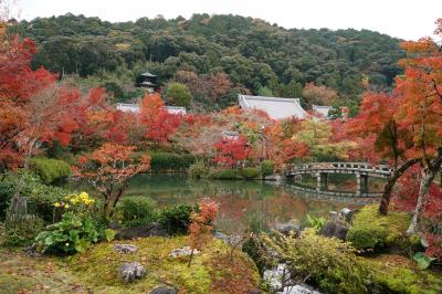 紅葉の京都・琵琶湖旅行（1泊）2022年11月