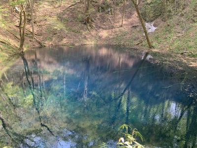 世界遺産とマグロの町、イカ美味い深浦町(青森県)