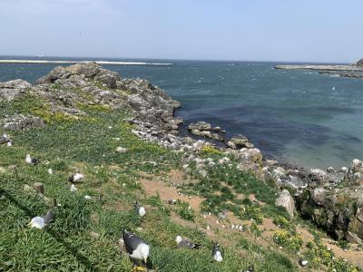 運がつく!八戸市とおいらせ町(青森県)