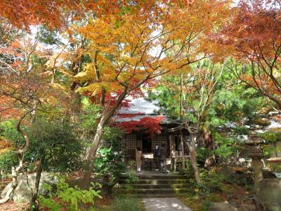 季節の花に逢いに行こう！紅葉編・鎌倉をぶらり☆モミジの覚園寺、納言でお汁粉♪