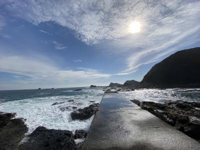 大分の猫の島＝深島で島ねこを愛でる！そして、臼杵でフグを食べる旅。