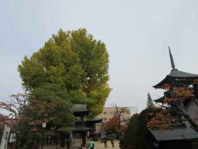 秋の北陸3県の旅 (10) おまけの旅