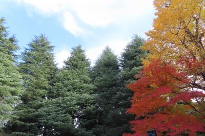 旧古河庭園、六義園、小石川後楽園と紅葉を求めてメトロ南北線沿い