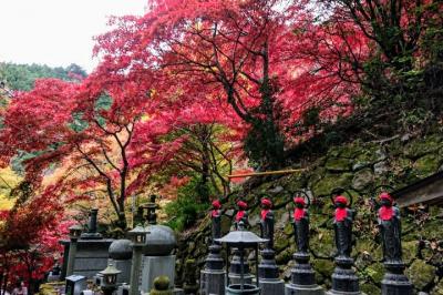 大山登山(ヤビツ峠～大山～大山寺)　2022.11.22