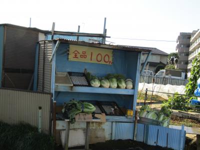 無人野菜販売所（寒川町）