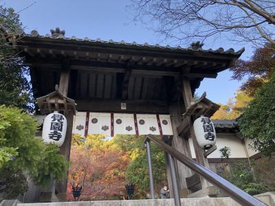 鎌倉　紅葉と黄葉の覚園寺　【半休ver】