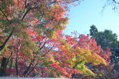 そうだ、京都へ紅葉の名所めぐりに行こう♪②