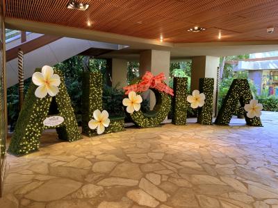 ヒルトンラグーンタワーのオーシャンフロントとワイキキアンのペントハウスに泊まったぞの巻!(その2)