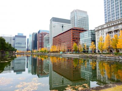 「　散りゆくイチョウを追って　東京駅前～日比谷へ　さんぽ　」　2022