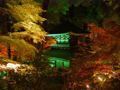 栃木県益子町にある「円通寺」の紅葉ライトアップが行われたので見に行ってみました
