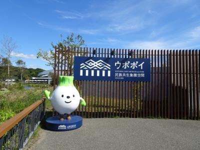 はるばるきたぜ函館と白老へ！北海道旅行 ～４日目～