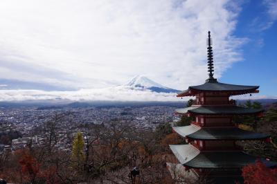 新倉山浅間公園