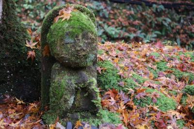 紅き大原と白き比叡山～紅葉と濃霧の秋～