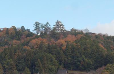 歴史街道を歩く会　11月例会　　郡上八幡を散策