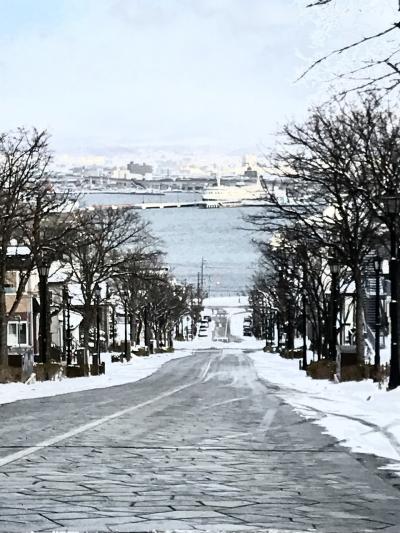 大雪の函館、青森、盛岡へ。大人の休日倶楽部パスの旅(二日目、三日目)