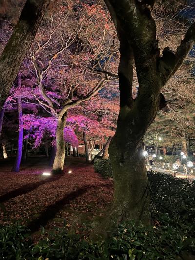 紅葉の残る十二月の京都