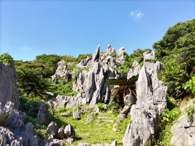 癒しの島　沖縄は、修学旅行や団体の旅行者で、大賑わいでした！