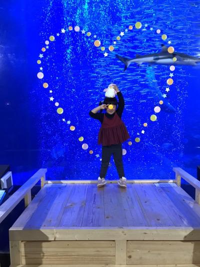 #️⃣3世代で行く南知多ビーチランドワンデイトリップ