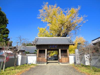 四国八十八ヶ所巡り・その8（徳島、バス歩き遍路の旅）