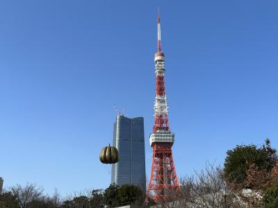 HOT-POT WALK IN TOKYO 2022年12月