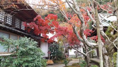秋の鎌倉散策