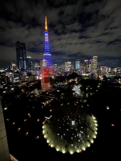 東京タワー絶景！プリンスパークタワー東京