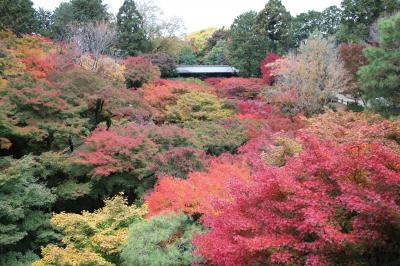 東福寺・南禅寺の紅葉 vol.1